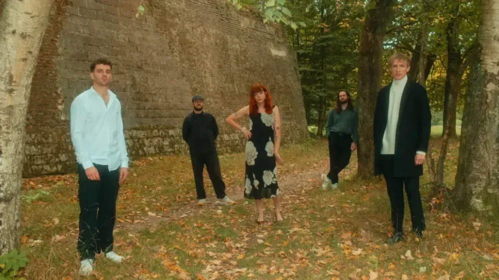 DITZ выпустили "Don Enzo Magic Carpet Salesman"