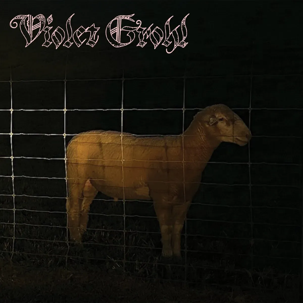 Violet Grohl выпустила дебютные синглы "...