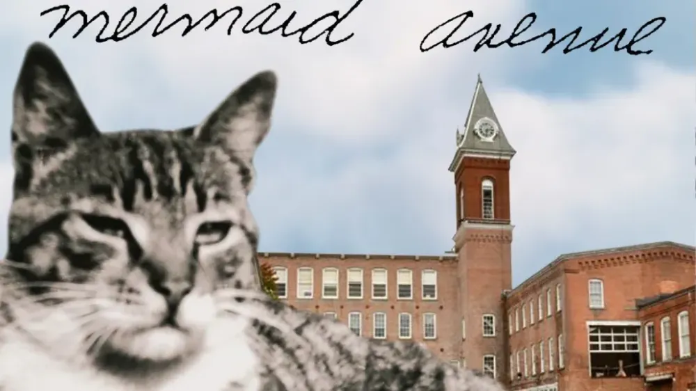 Wilco и Billy Bragg исполнят Mermaid Avenue на Sol...