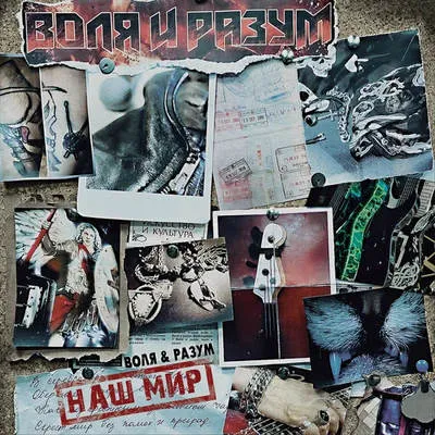 Группа «Воля и разум» выпустила альбом «Наш мир»