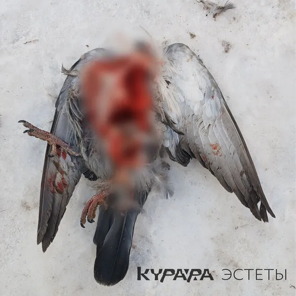 «Курара» выпустила альбом «Эстеты»: новый звук и г...