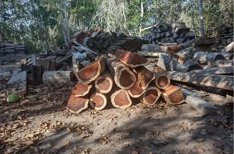 Бразилия отказалась от запрета на экспор...