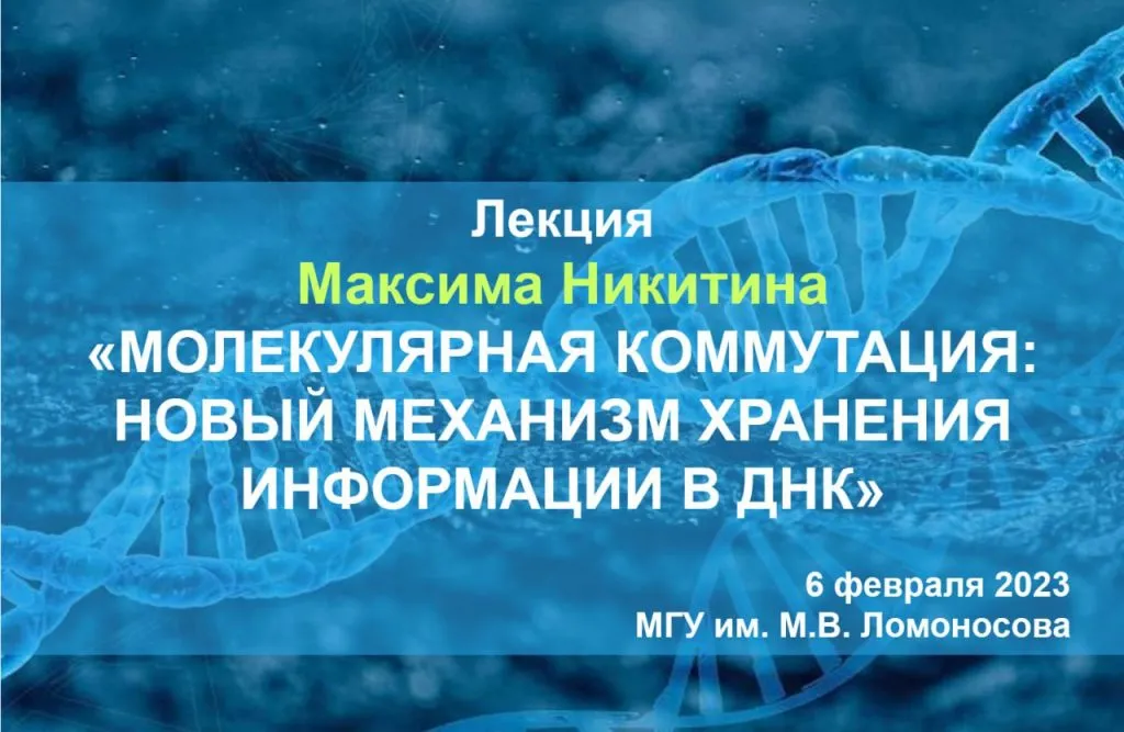 Российский физик Максим Никитин: Вдохновение и научные открытия