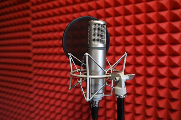 Мэйби Бэйби в базе «Миротворца»: Причина и детали