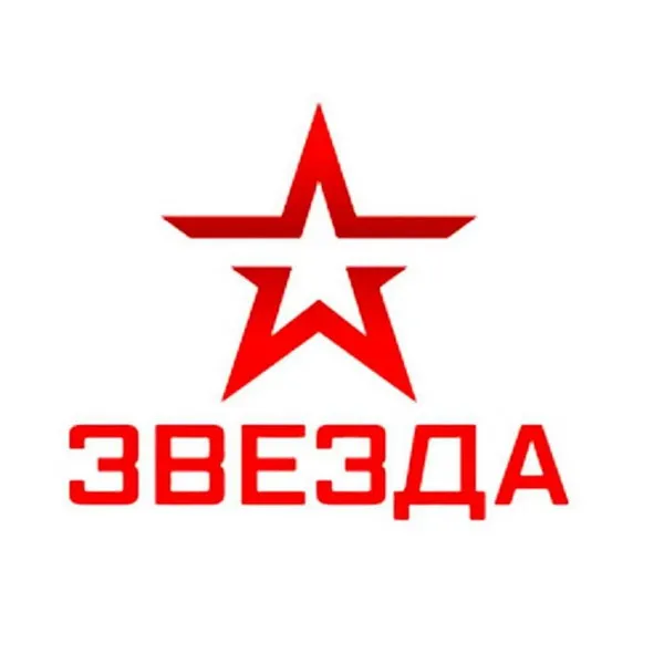 Новогодняя программа телеканала «Звезда»...